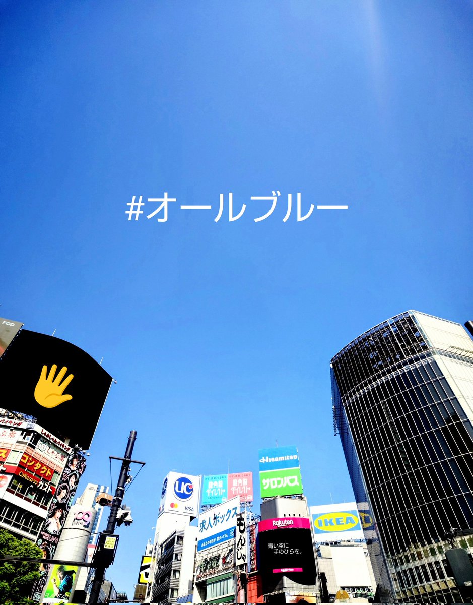 nazonazo_bito's tweet photo. いよいよ、カウントダウン
#オールブルー https://t.co/98vTVEcGQ0