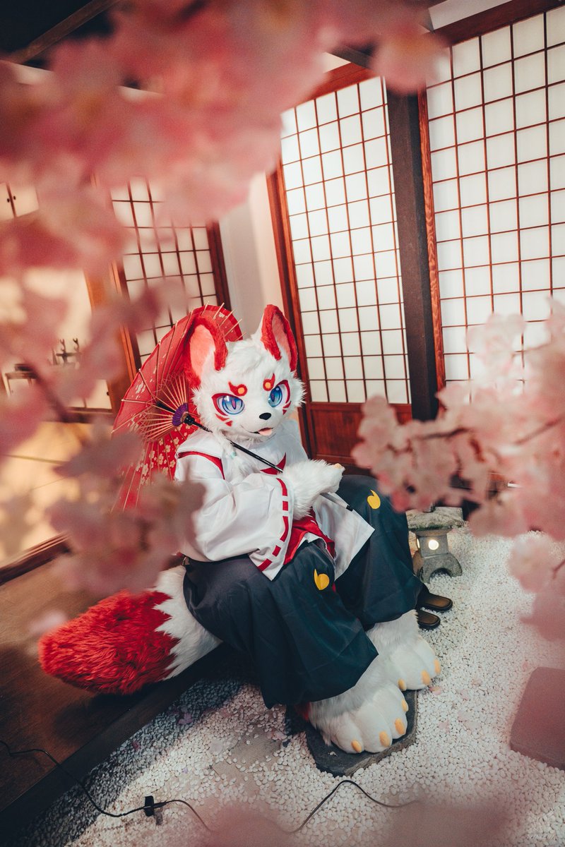 御影曇天 /Mikage Tantian🦊🔜UTFG (@mikagetantian) on Twitter photo 你是不是在盯著我的尾巴看呢?
너 내 꼬리를 계속 보고 있는 거 아니야?
Are you staring at my tail?
あなた、私の尻尾を見つめているんじゃない?
📸: <a href="/VinTheCoyote/">VinTheCoyote(凡凡)</a>
🪡: <a href="/cangpaifur2307/">CANGPAIFUR苍牌毛化</a>
#FursuitFriday
#Furry
#fursuit 你是不是在盯著我的尾巴看呢?
너 내 꼬리를 계속 보고 있는 거 아니야?
Are you staring at my tail?
あなた、私の尻尾を見つめているんじゃない?
📸: <a href="/VinTheCoyote/">VinTheCoyote(凡凡)</a>
🪡: <a href="/cangpaifur2307/">CANGPAIFUR苍牌毛化</a>
#FursuitFriday
#Furry
#fursuit
