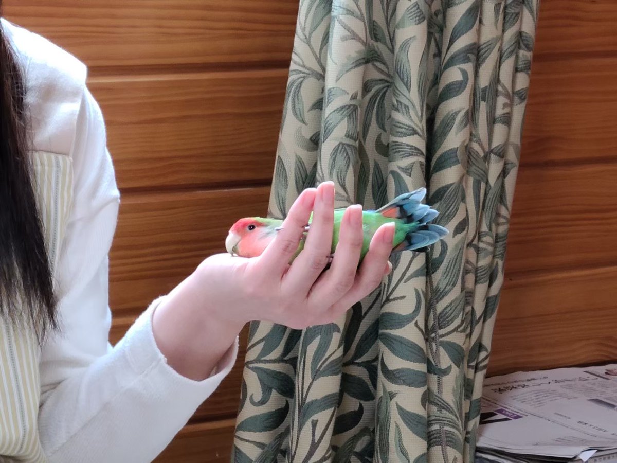 今日うーちゃん帰っちゃうのか