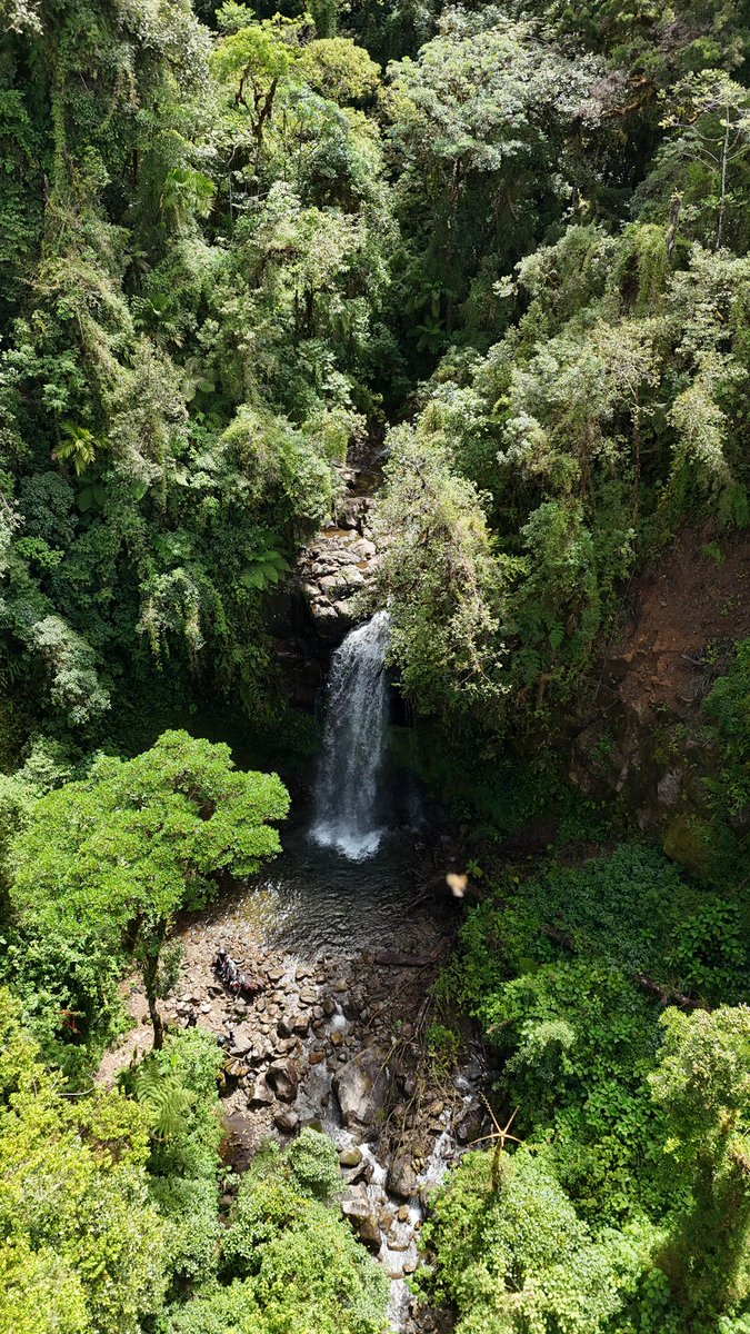 bongoutdoors's tweet photo. Explore Panama with us  🍃🌴🐒

https://t.co/OkVRJil9Ru

#turismo #wanderlust #Tourists #turism #TravelGoals #travel #Traveler https://t.co/sZvTT80pIJ