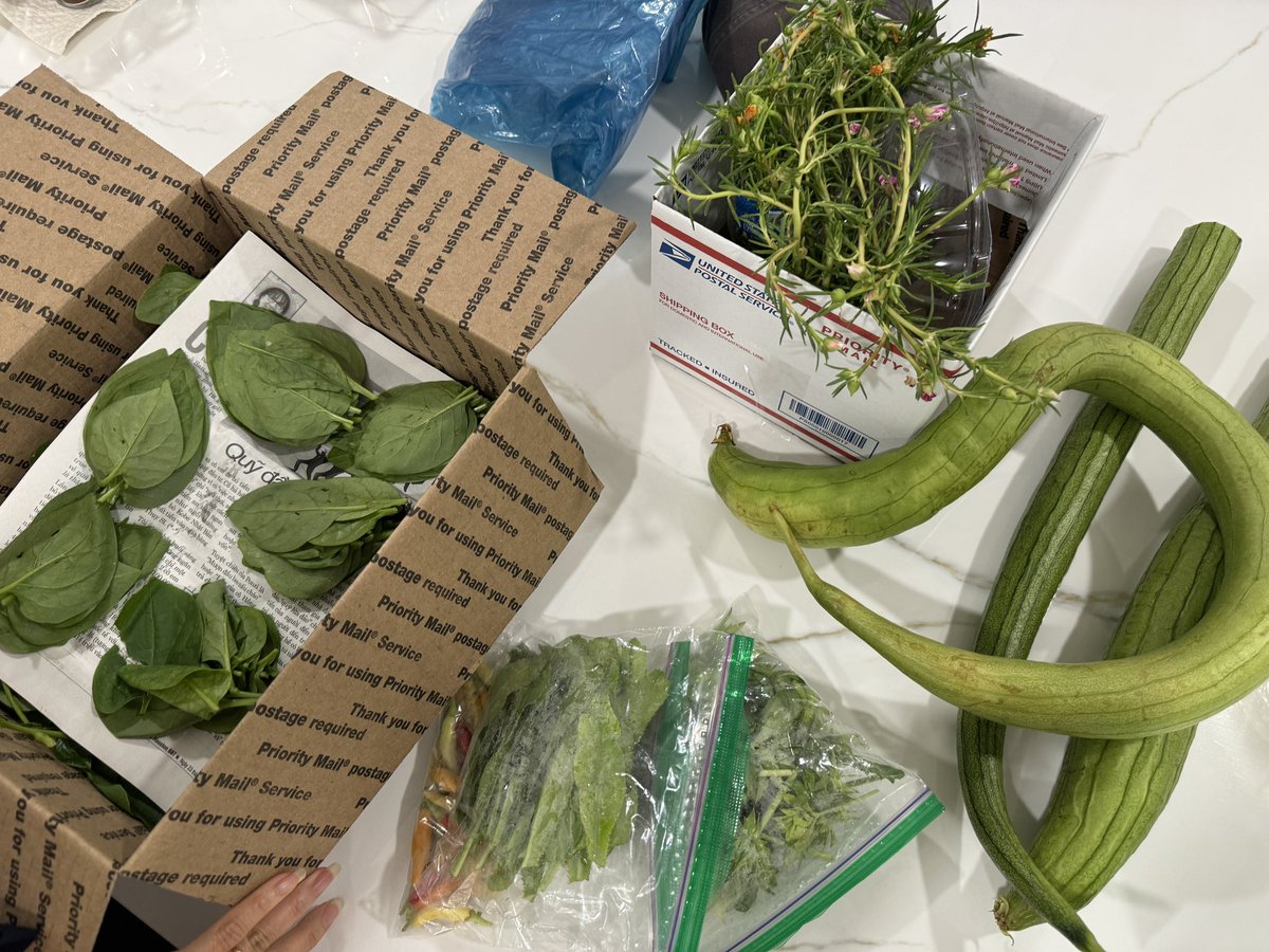 My mom’s customer gave her veggies from her garden in priority mail boxes T-T so cute