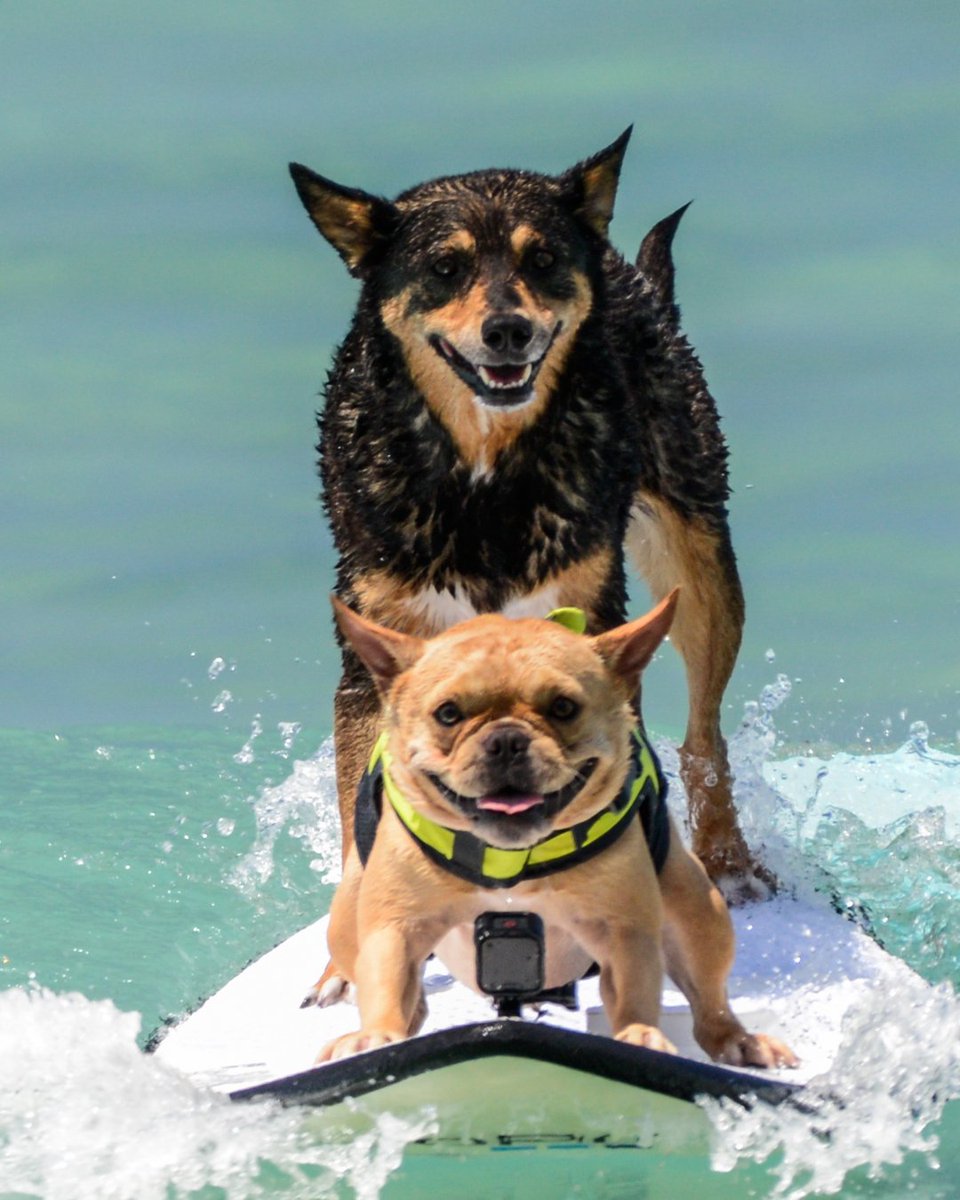 Honor Duke Kahanamoku's legacy at the 2025 Duke's OceanFest in Waikīkī, Aug 16-24. Enjoy ocean sports &amp; support student scholarships! Come witness incredible athleticism and honor a hero of Hawaiʻi. For the full schedule, visit DukesOceanFest.com.

#VisitOahu #DukesOceanFest