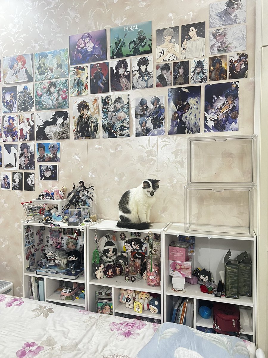 ladyerror9779's tweet photo. I have a new doll 😆😻🐈 https://t.co/sl5jF5WKSv