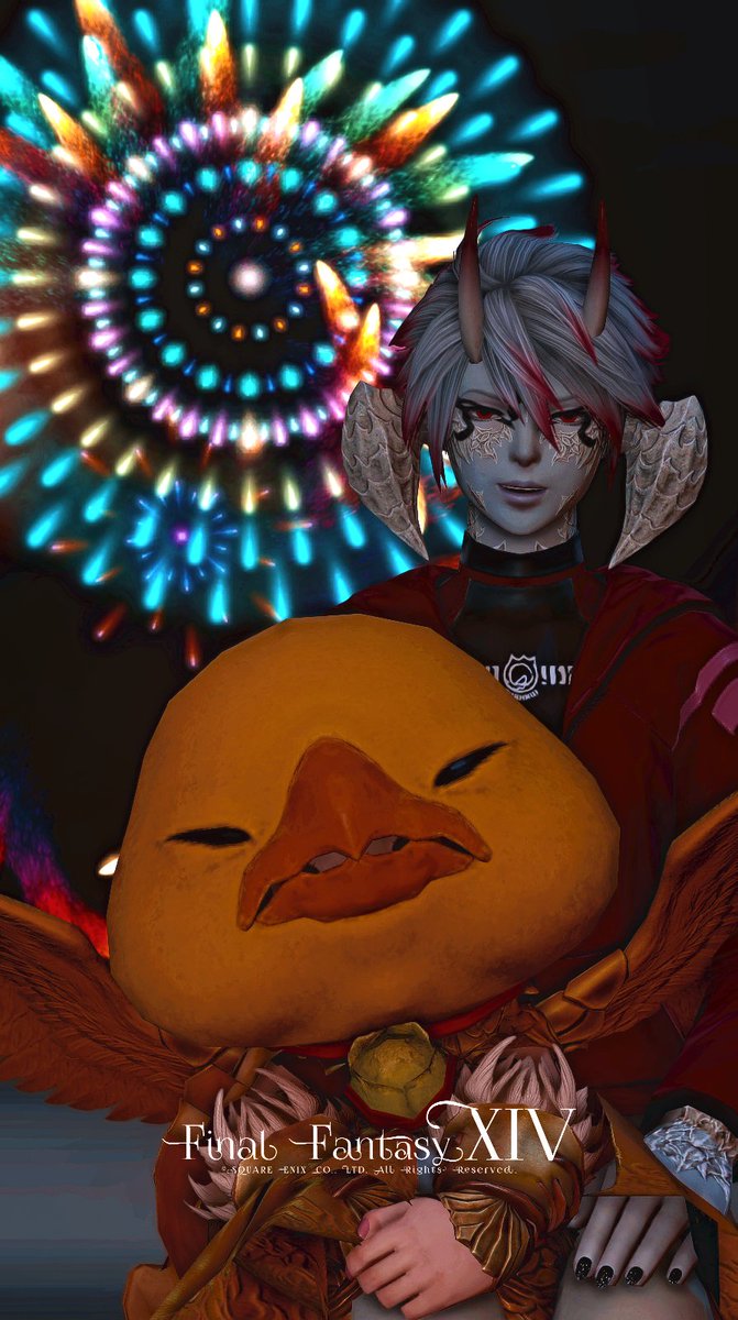 チョコボの夏休み🐥