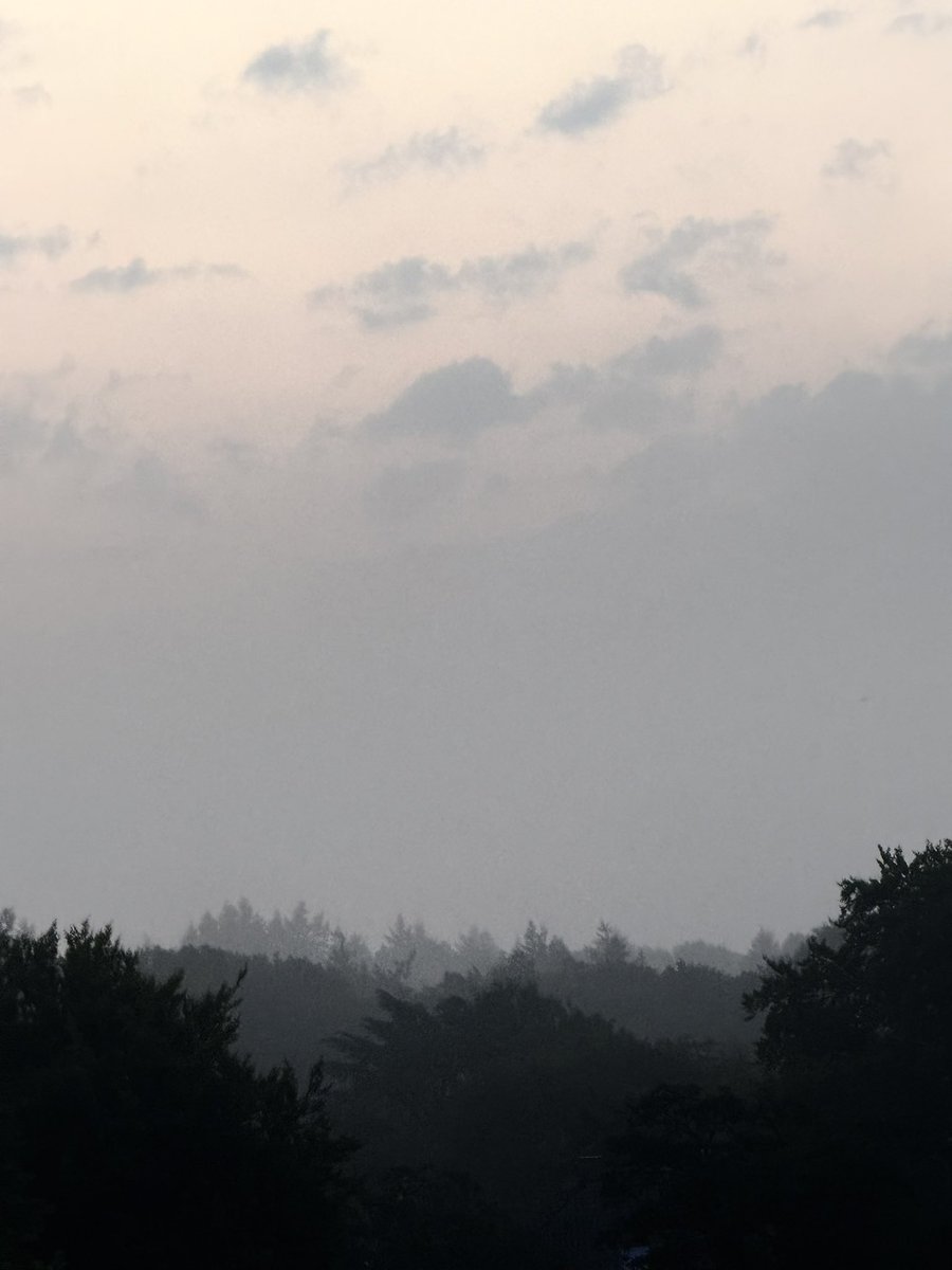 Happy Day 🤍🤍🤍