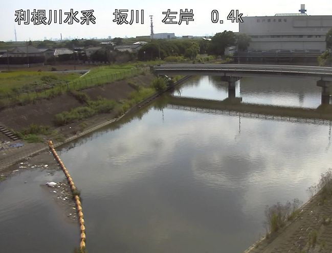 mlit_edogawa's tweet photo. 8/14（木）江戸川河川事務所が管理する坂川で確認された特定外来種「ナガエツルノゲイトウ」の除去作業が完了しました。
職員5人で約2時間の作業により、江戸川への流入を防ぐ事ができました。
#特定外来種駆除 ＃ナガエツルノゲイトウ ＃坂川 https://t.co/IUlLE7nU6s