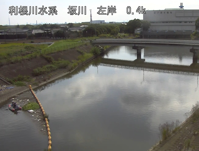mlit_edogawa's tweet photo. 8/14（木）江戸川河川事務所が管理する坂川で確認された特定外来種「ナガエツルノゲイトウ」の除去作業が完了しました。
職員5人で約2時間の作業により、江戸川への流入を防ぐ事ができました。
#特定外来種駆除 ＃ナガエツルノゲイトウ ＃坂川 https://t.co/IUlLE7nU6s