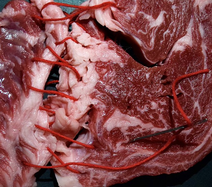 Flopipuf tweet media