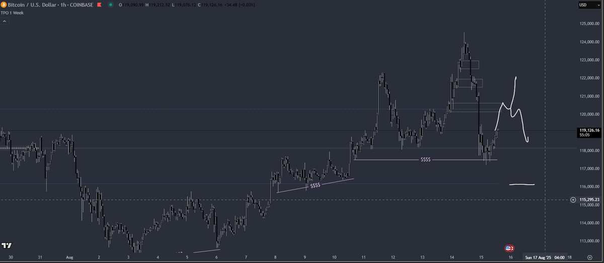 deviation of 5 week vah.
Revenge pump to 120k to retest. 
Reclaim, and we can try go higher but anything other than ATH is a lower high.

Reject 120k, and we look to cycle towards 116k.
Weekend lows at 116k and 112k still intact, may end up being good downside targets