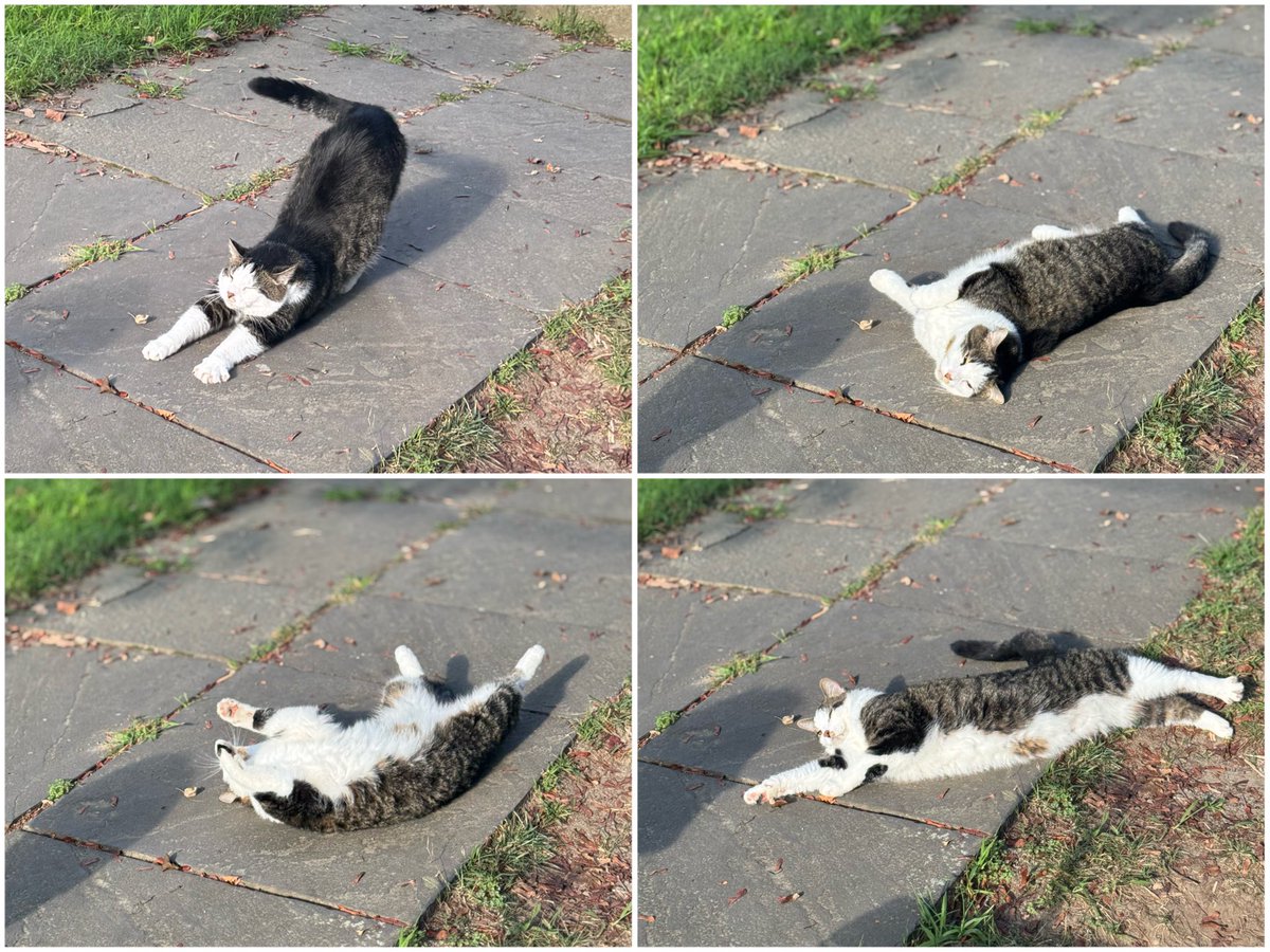 Takahiro Ueda tweet media