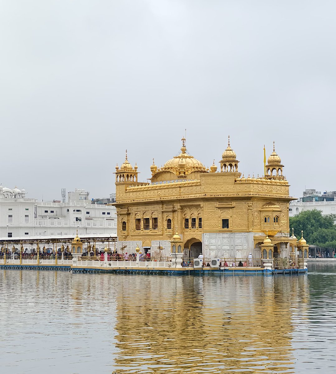Ratinderdeep Singh tweet media