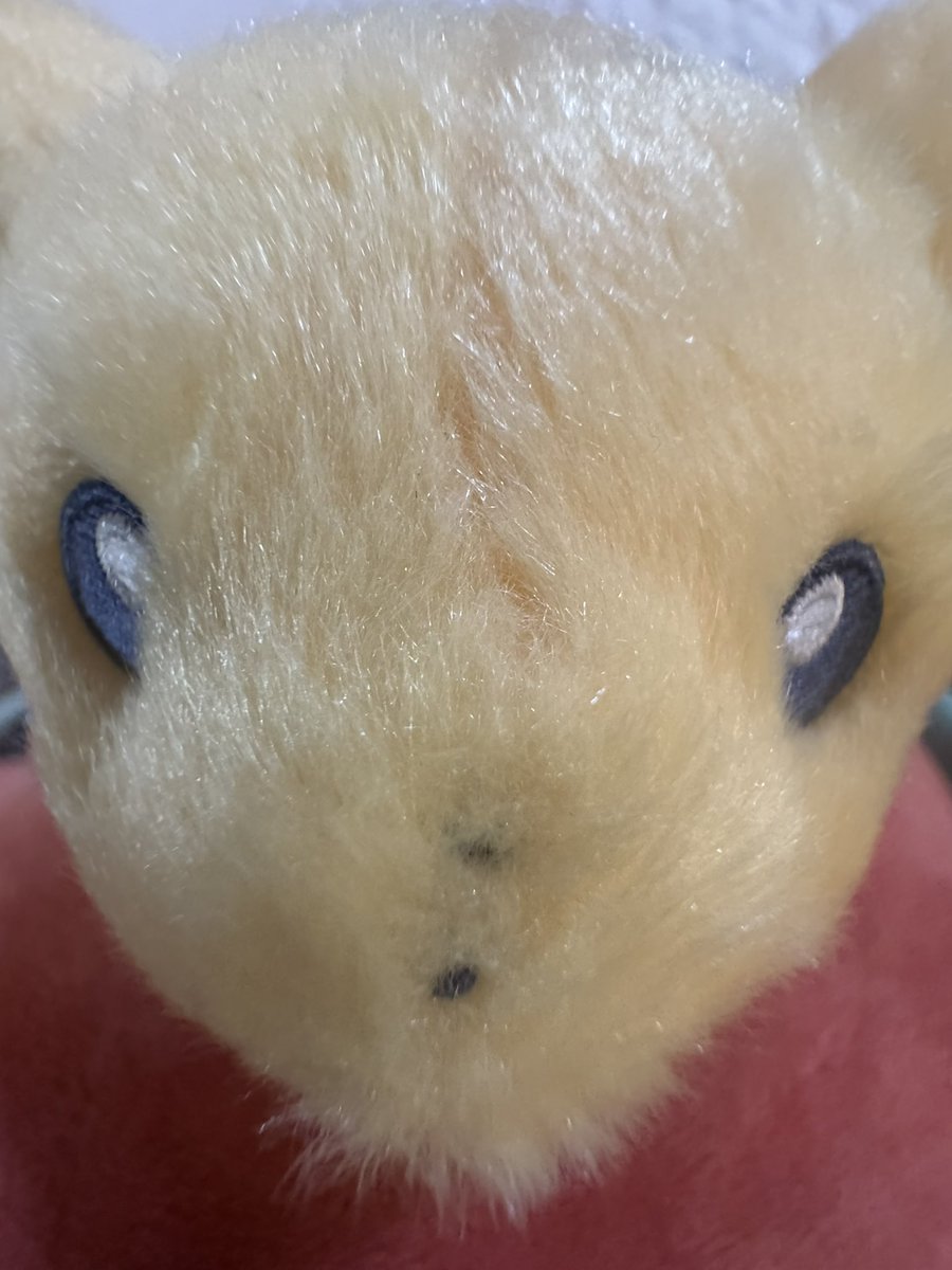 Ash LeDonne (@ash_ledonne) on Twitter photo 