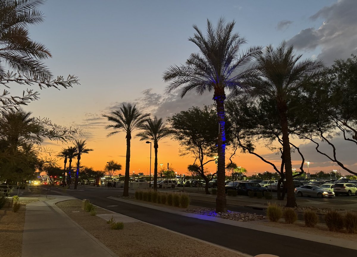 Puanani322's tweet image. Dinner at Bodega tonight with my daughter &amp;amp; her bestie before they go back to college next week 💫💗 #SunSets #PalmTrees #GoodFood