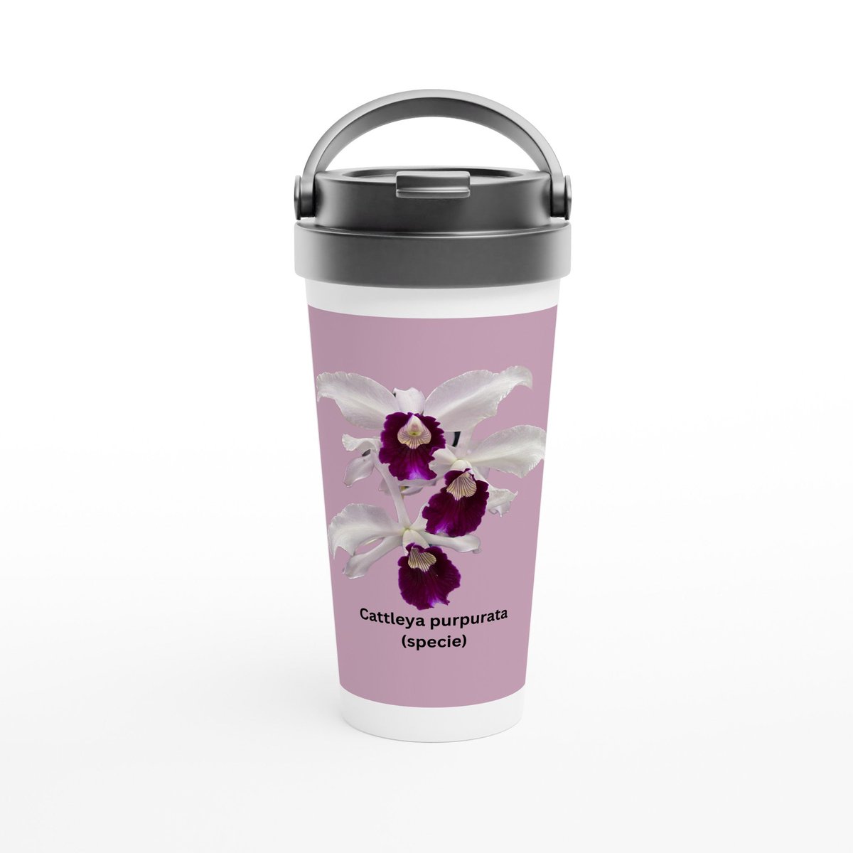 OrchidsInPrint's tweet photo. https://t.co/6UUR7F2FBz https://t.co/CkzJBR3EmC