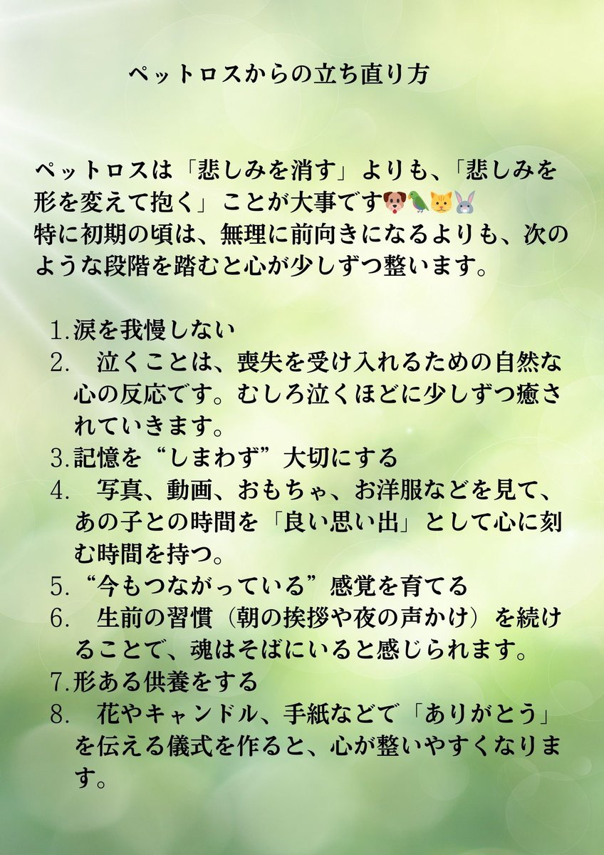 🌈 🐾大切な家族を見送ったあなたへ 🐾
大切な存在を失った悲しみは、誰にも軽くできません。でも、その想いは消えるためではなく、あなたの心の中で新しい形になって生き続けます。今日は、そんな悲しみと共に歩むためのヒントをお届けします。
#ペットロス #虹の橋 #ペットとの別れ #ペットは家族