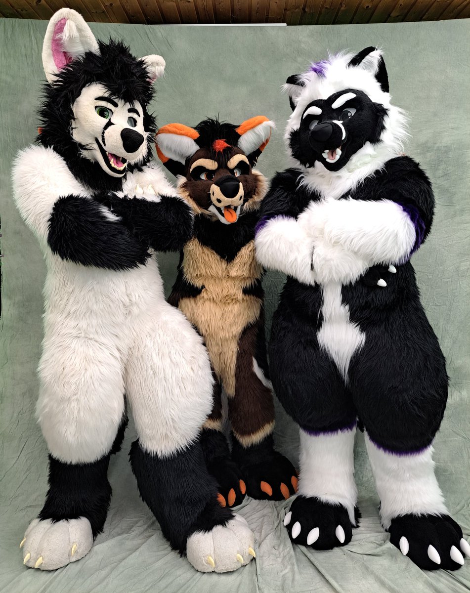 TheKarelia's tweet photo. A little walk down memory lane ❤️ 
With @DarkChaga @Chagafoxlion @kronosyeen #fursuitfriday https://t.co/5i2zFftJRo