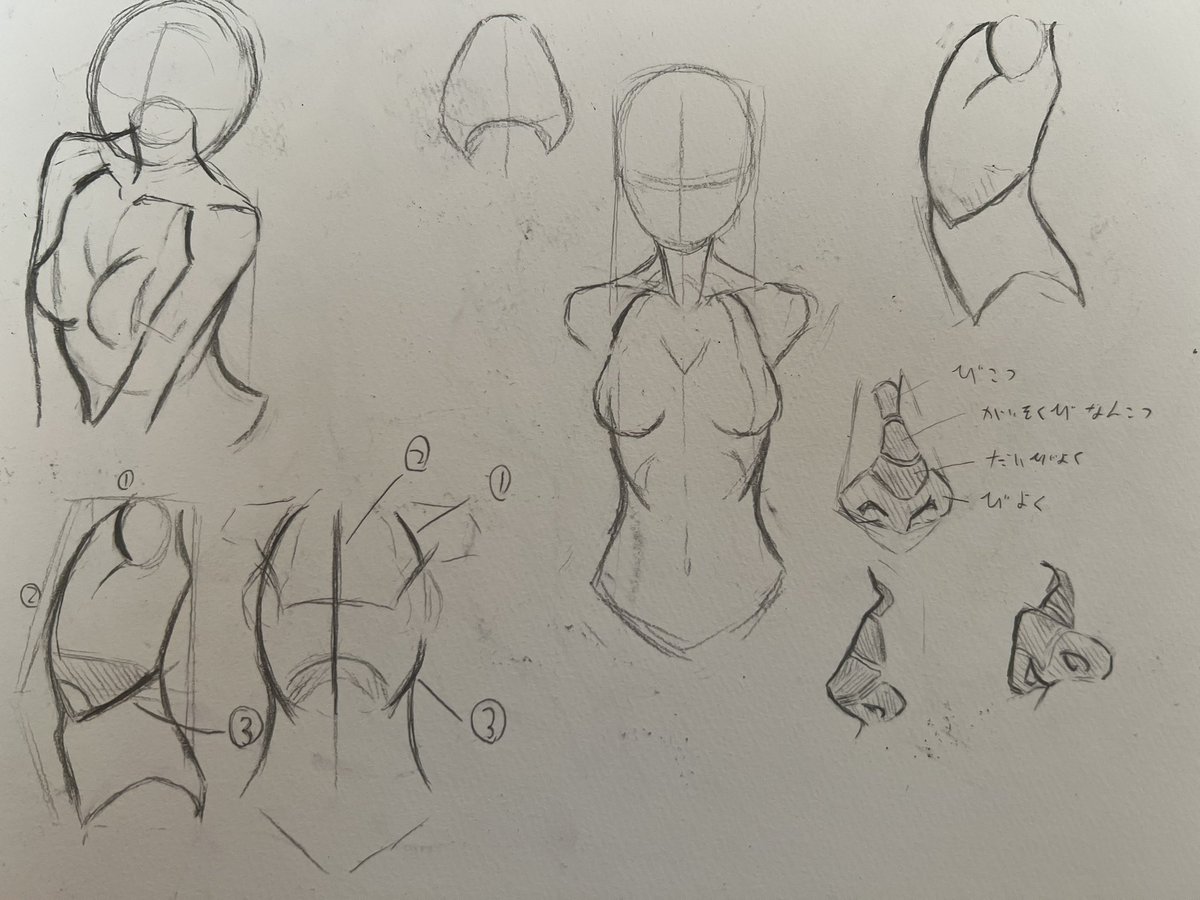 練習で描いていた
絵を見返している 