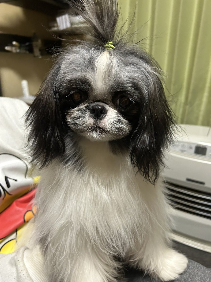 濡子 tweet media