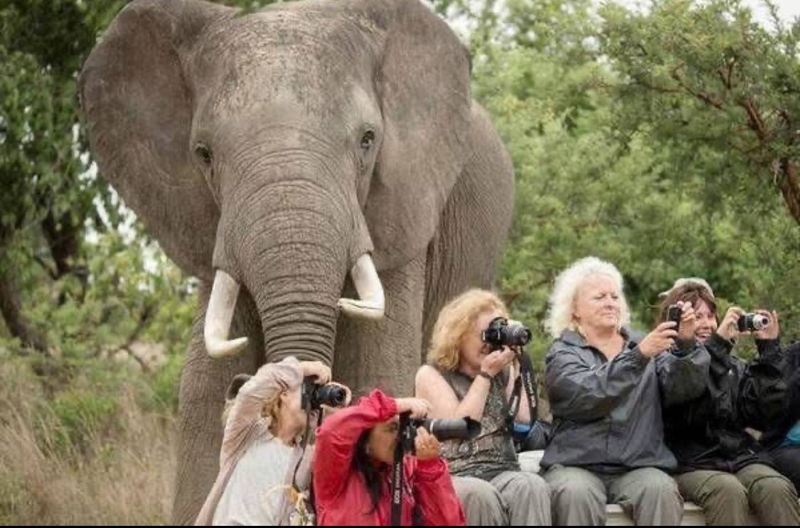 Column: Timmermans beschuldigt voor frauderen, Europa in rep en roer, maar Nederlandse media zwijgt
Max von Kreyfelt 

Het is een zeldzaam moment waarop heel Europa over hetzelfde praat. Nou ja… bijna heel Europa. In Duitsland en Frankrijk rollen de krantenkoppen over de