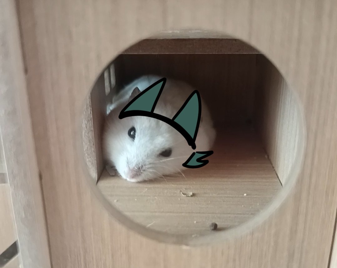 #numberlore #alphabetlore 
Number 4 hamster!!Oh, I just wanted to give this little guy a new look(ू˃̣̣̣̣̣̣︿˂̣̣̣̣̣̣ ू)