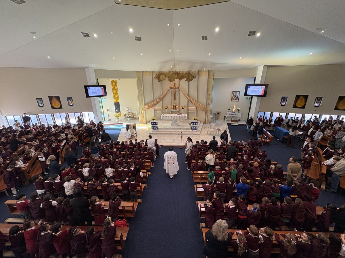 St Peter's Primary tweet media