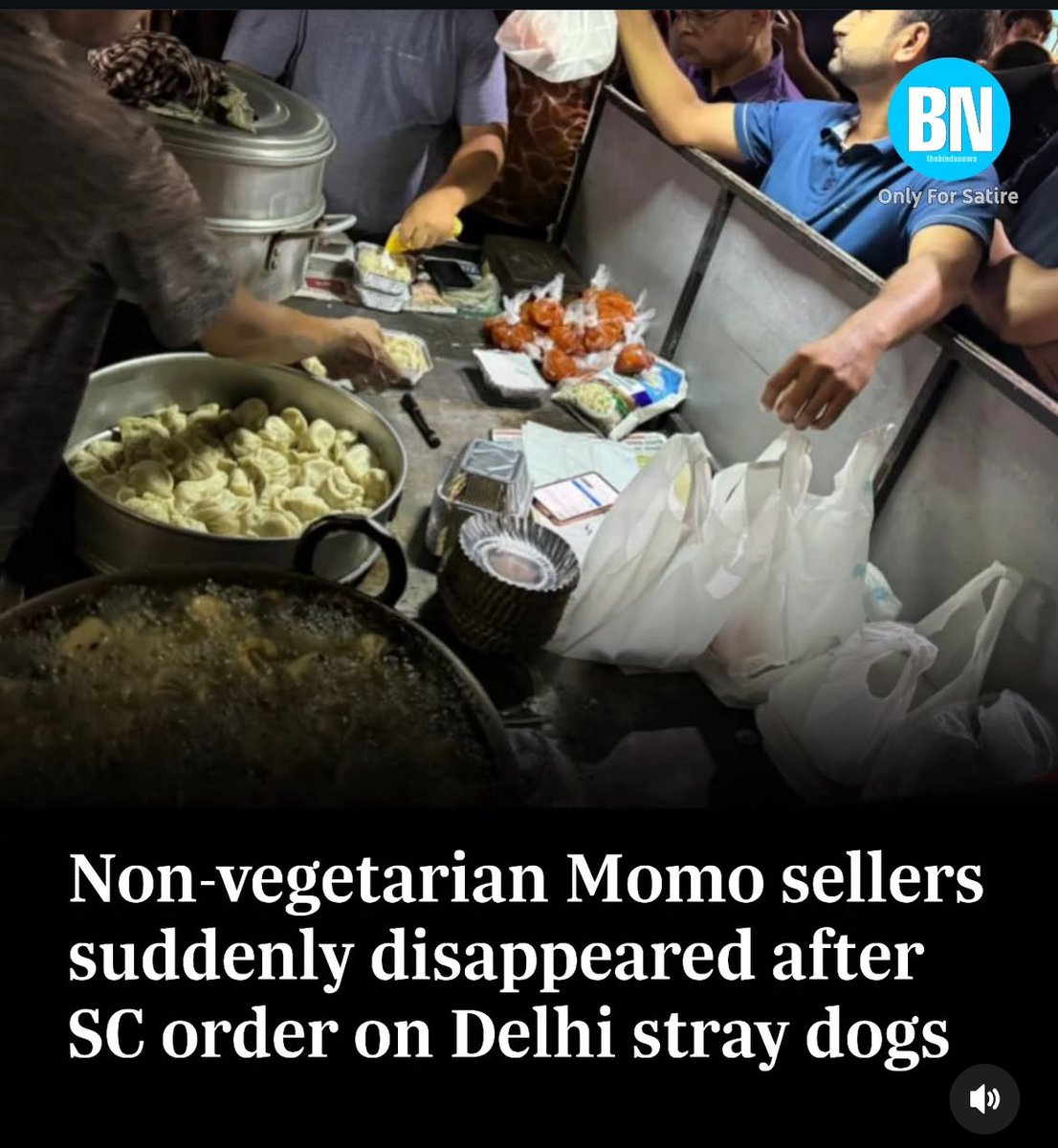 BerlinFamilyman's tweet photo. I never understood why feminist animal activists are vehemently against dog safety and disguise it as concern.

#dogscam https://t.co/wFZjxWLtQm