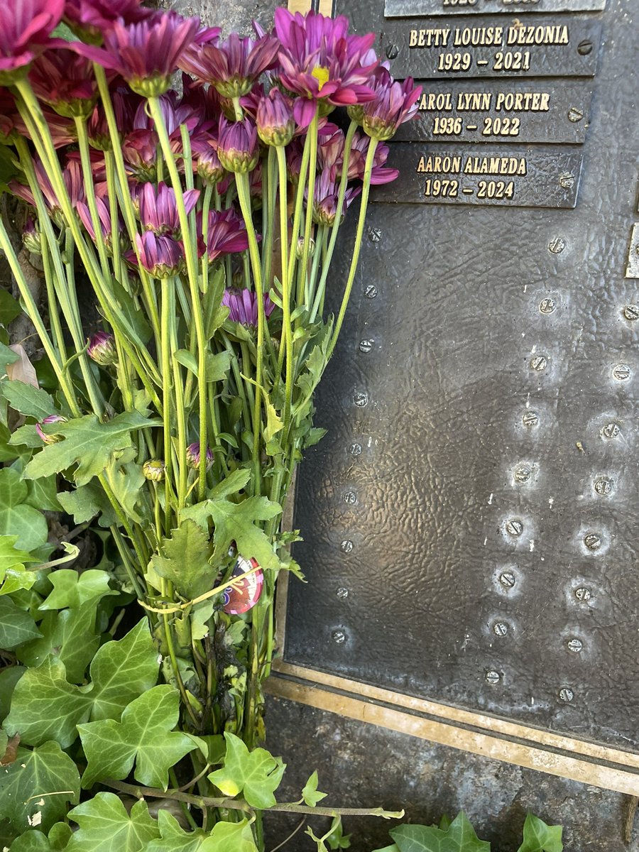 Lonni Alameda tweet media