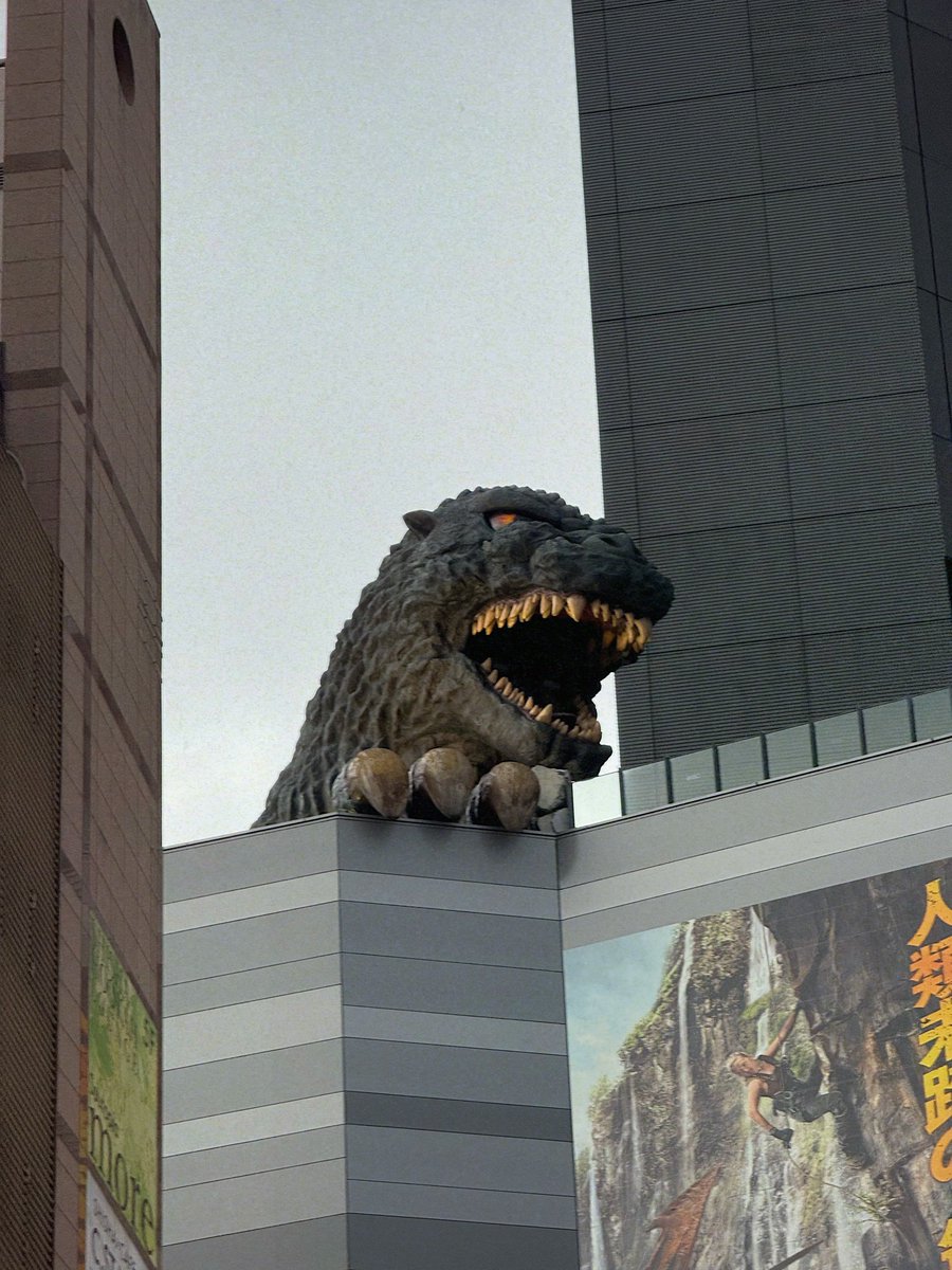 眠らない街のゴジラ

#写真好きな人と繋がりたい
#写真撮ってる人と繋がりたい
#スナップ