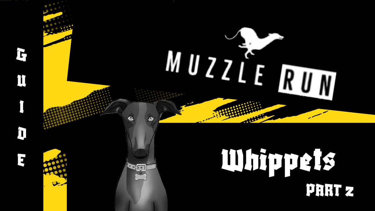 0xUsurper's tweet image. 𝐌𝐔𝐙𝐙𝐋𝐄 𝐑𝐔𝐍: Whippets Part 2 (feat. @VoxtonLive)  

Presenting the Charcoal Whippets

Recap -&amp;gt; youtu.be/UmGg18A-Ex8

Make sure to drop a follow and subscribe... o7

#WhippetRacing #Web3Racing #CryptoGaming #Web3Gaming $FROTH $POL $USDT @muzzle_run