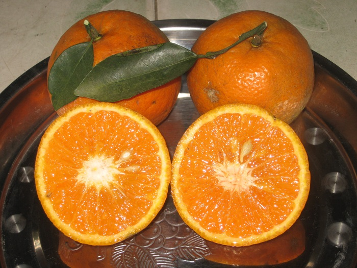 🍊 Proof that greatness comes from the inside.

Built on the rock-solid shell of Bitcoin, but inside is a vibrant world of zk-proofs, upgrades &amp; innovation.

Fresh, bold, and ready for mainnet.
Here’s my #ProofofCitrea 🍹

<a href="/citrea_xyz/">Citrea | Mainnet Live 🍊🍋</a> let’s keep the citrus &amp; zk energy rolling! 🌞