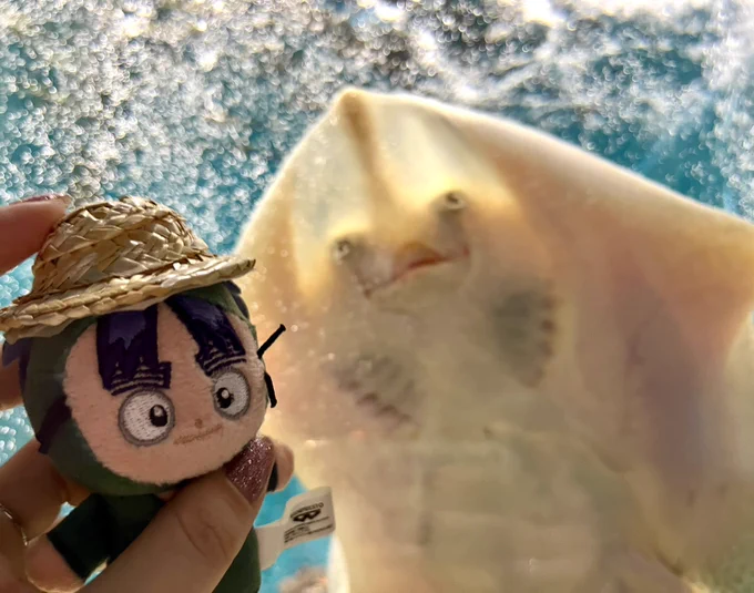 たのしかったね