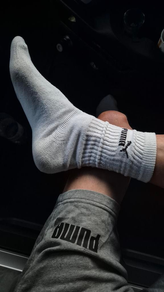 Tom d'Avignon tweet media