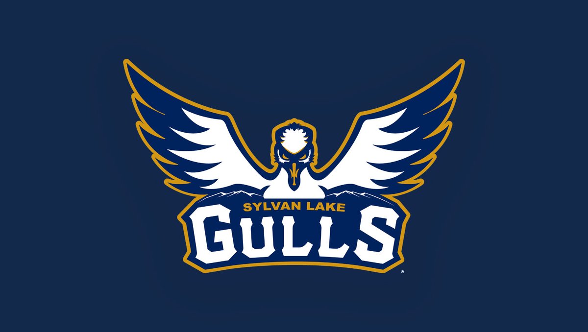 🚨 JUST IN: The <a href="/SylvanLakegulls/">Sylvan Lake Gulls</a> draw first blood in the <a href="/wcbleague/">The WCBL</a> championship series with a 3-2 win over the <a href="/ReginaRedSox/">Regina Red Sox</a> in 11 innings. Michael Quick scored the winning run by stealing home on a double-swipe. Game 2 of the best-of-3 goes tomorrow in Sylvan Lake. #WCBL ⚾️🇨🇦