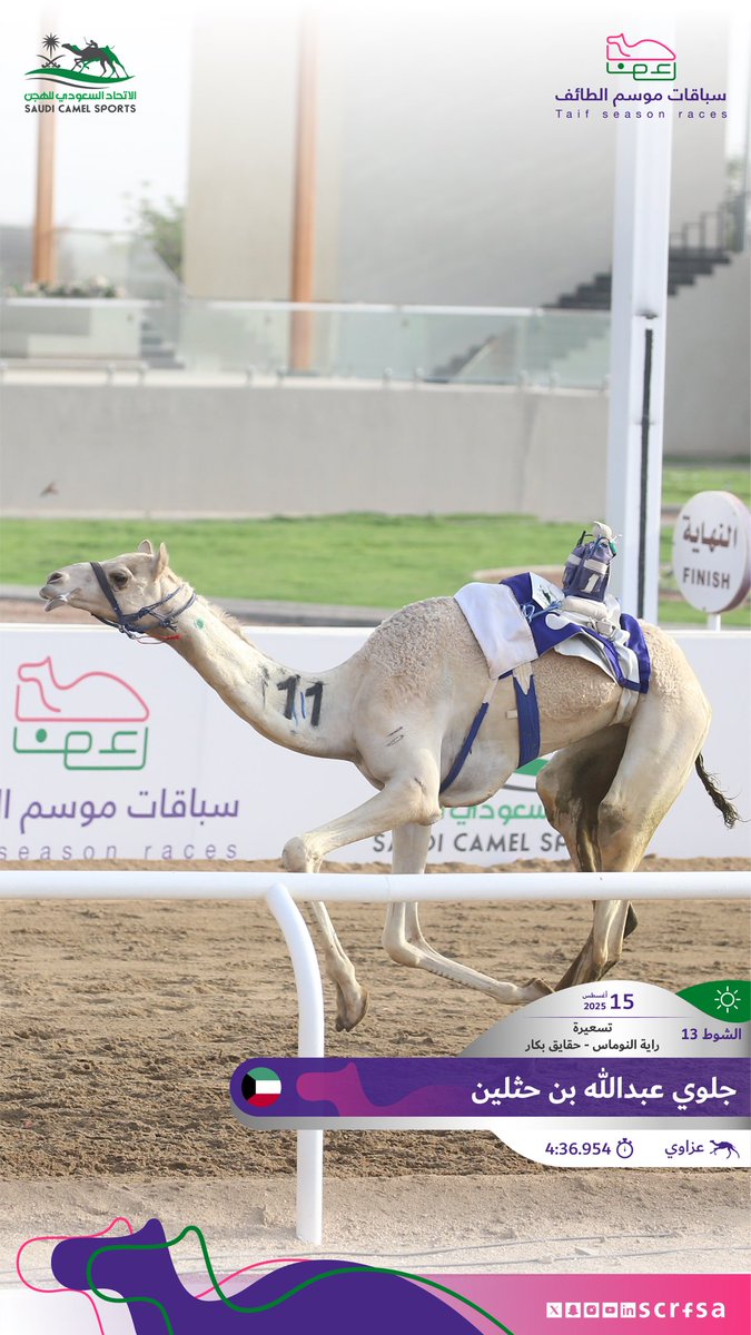 #سباقات_موسم_الطائف 2025
أشواط التسعيرة ضمن السباق الثالث 

🐪 عزاوي   
▫️جلوي عبدالله بن حثلين
🏁 الشوط 13: راية النوماس حقايق بكار
⏱️ 4:36.954
🎥 youtu.be/tFW6D62kXfc