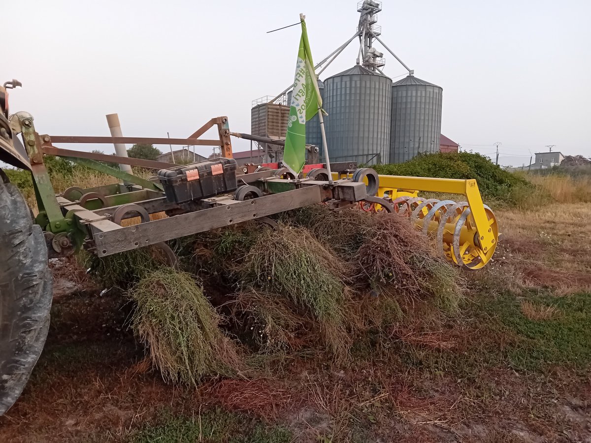 Bonjour les #Twittos et bon courage à tous ceux qui, comme moi, travaillent aujourd'hui.

Leçon du jour : quand tu ratés une culture (ici les féveroles d'hiver) les mauvaises herbes ne te ratent pas, elles. 

Profiter de la fraîcheur avant la #canicule