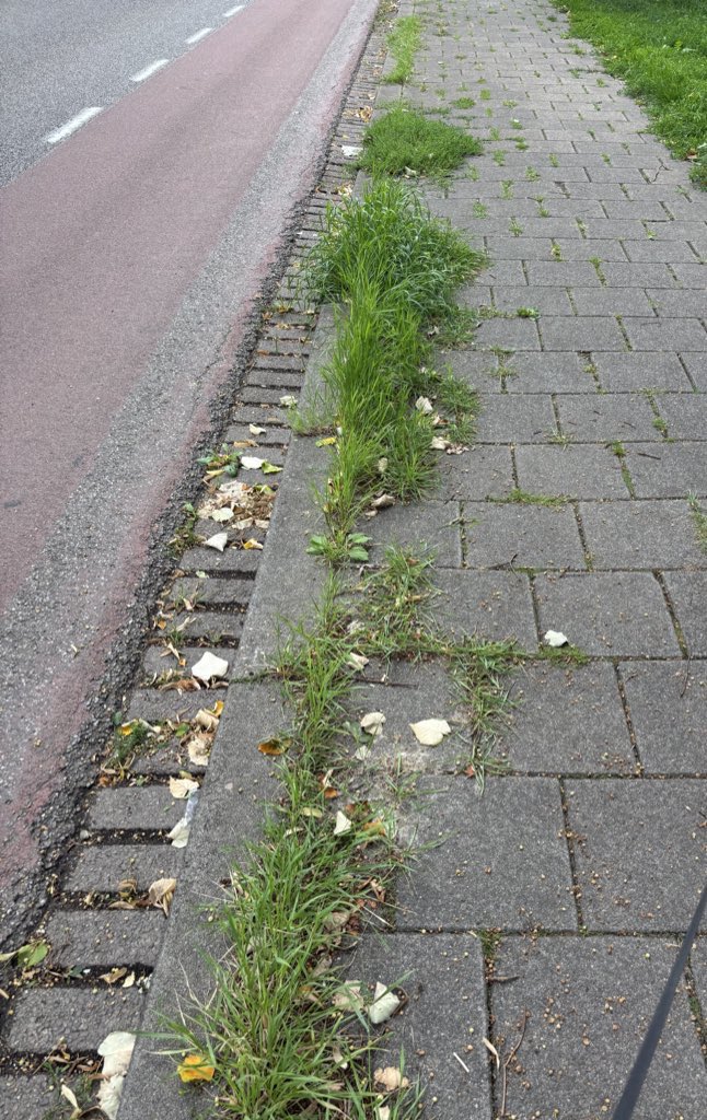 Cret. Oomen tweet media