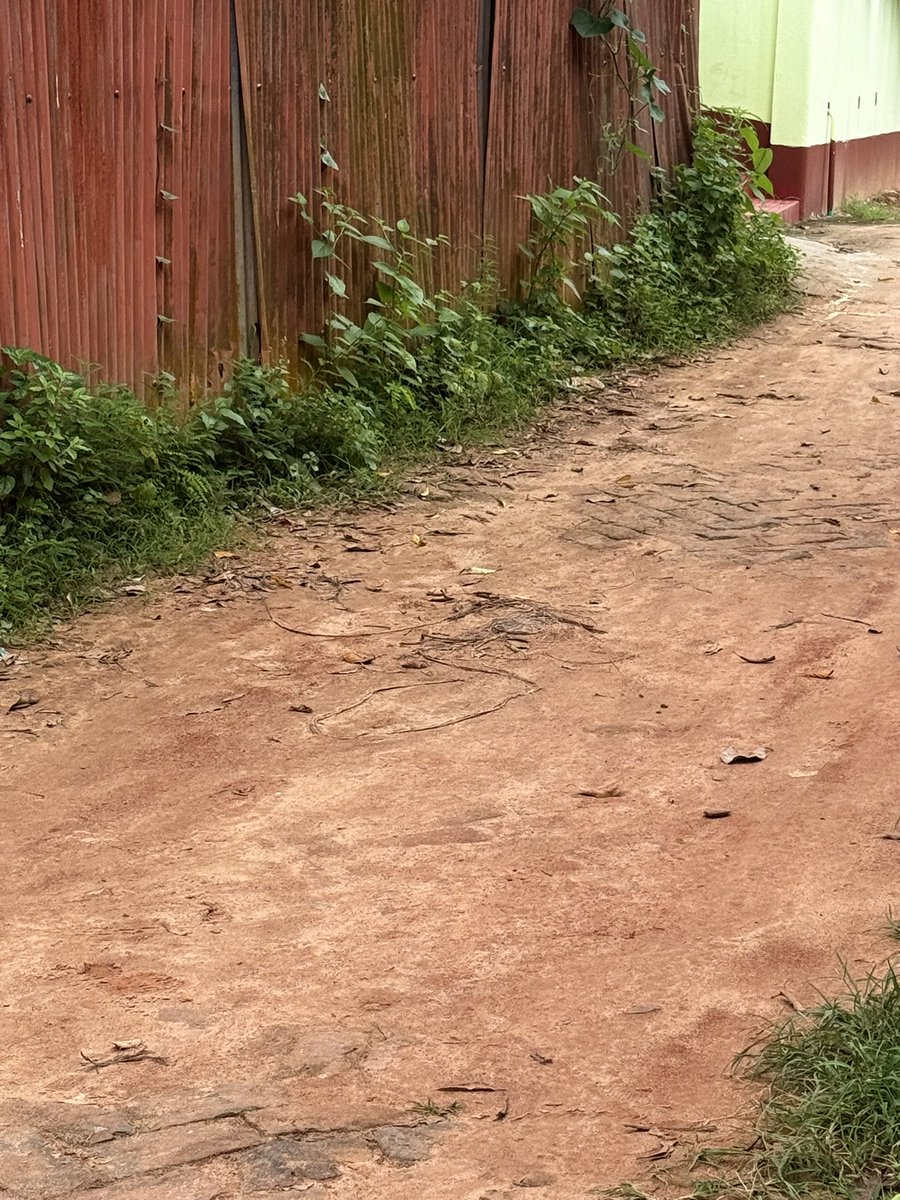 monte_official2's tweet photo. @agtsmartcity @BJP4Tripura @tripura_cmo I am not sure what is AMC doing. Look at the situation. Drains not cleaned in almost 6 months. Satyajit Roy Lane - AD Nagar. Between Road 5 and 6. Please action immediately. This is not why we pay taxes. https://t.co/pucz3EOQIX