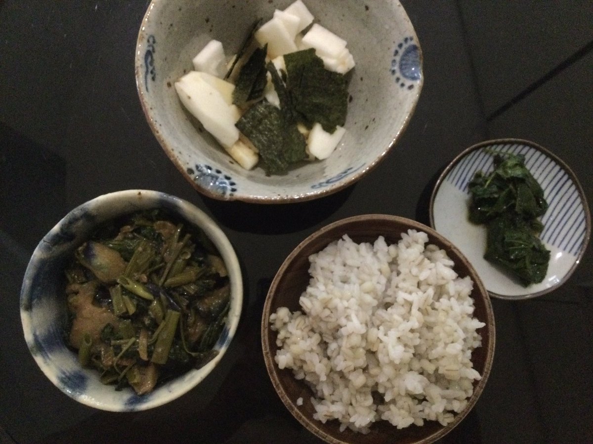 Yuki37623134's tweet photo. 色は地味だけどめちゃくちゃ美味しかった今日のお昼
長芋短冊と焼き海苔、モロヘイヤおひたし、ナスと空芯菜の味噌炒め、むぎご飯　器の底に残った醤油に冷奴入れて食べる💕
夏になると特に食べたくなるネバネバ系の野菜達　オクラも好き https://t.co/O7VY0wIOaf