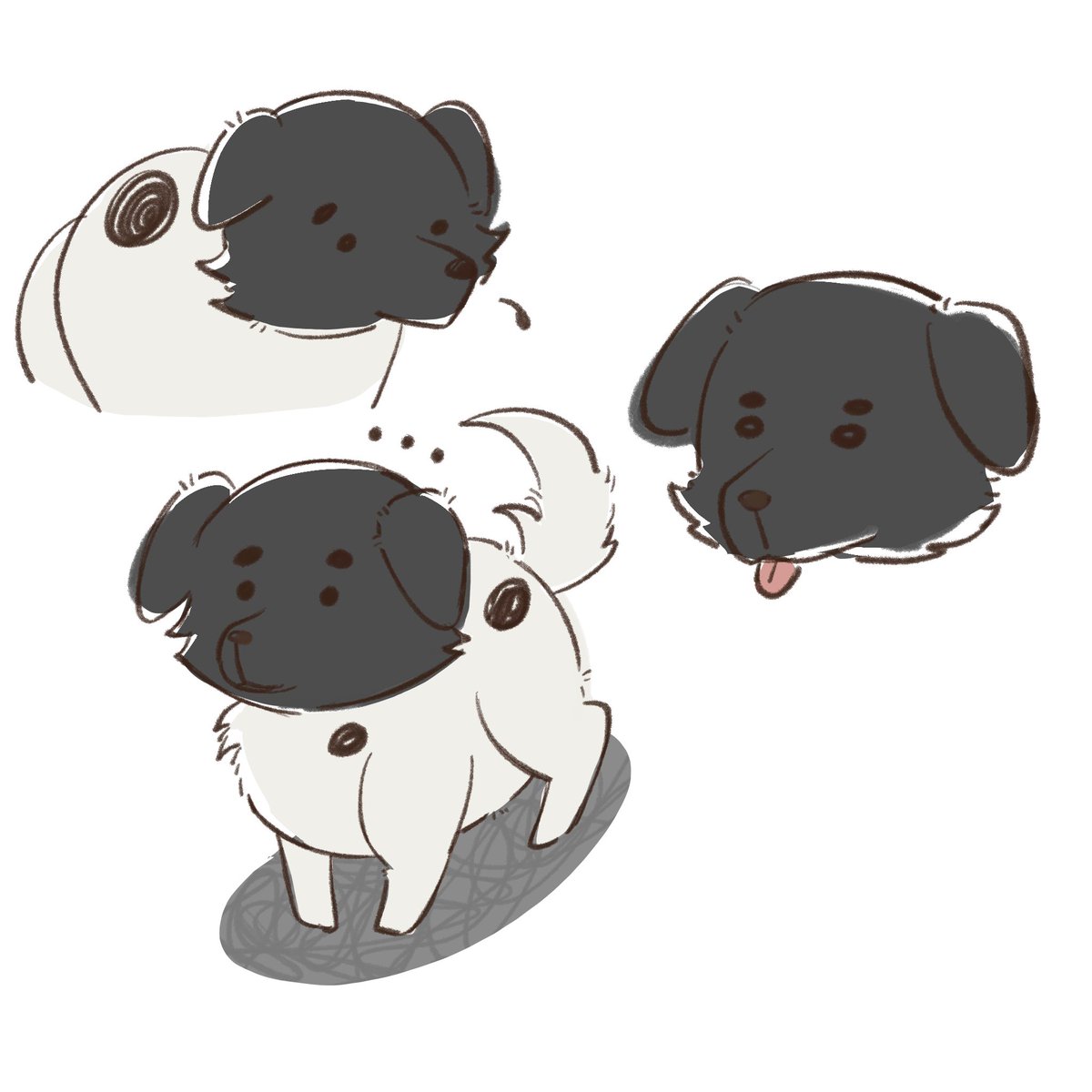 __bbubbleblue's tweet photo. I found an Oreo dog this morning https://t.co/XtTElV4twl