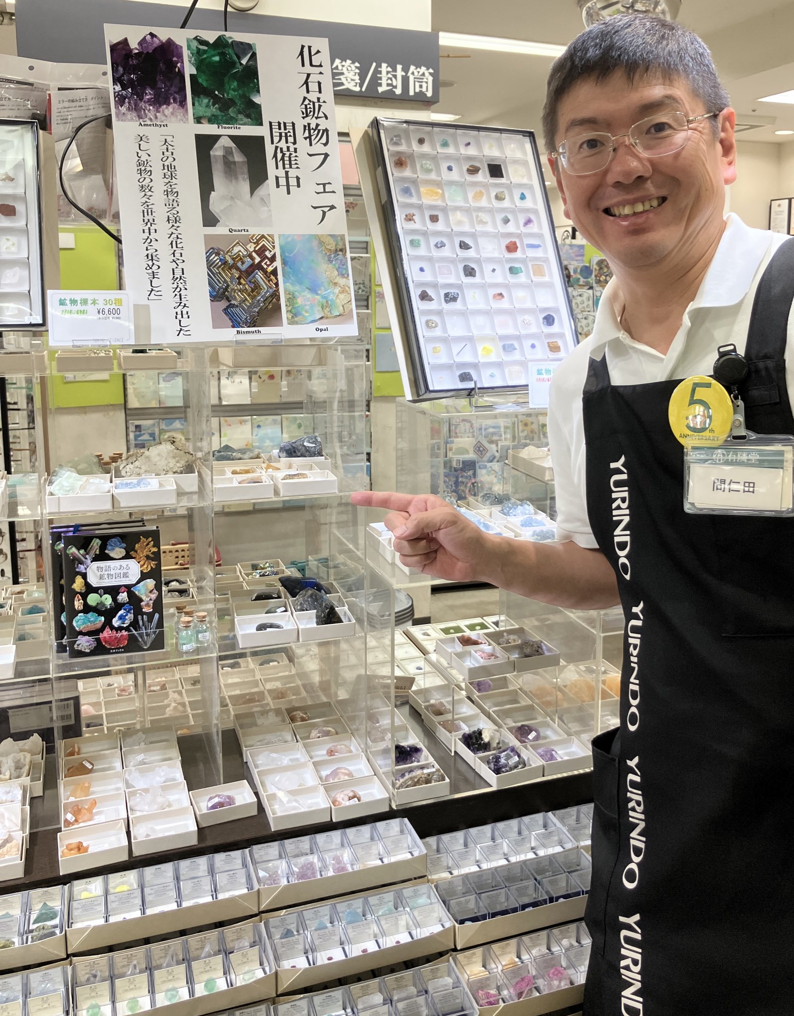 たての化石　プロモ　キラ たての化石(キラ)【P】{-}