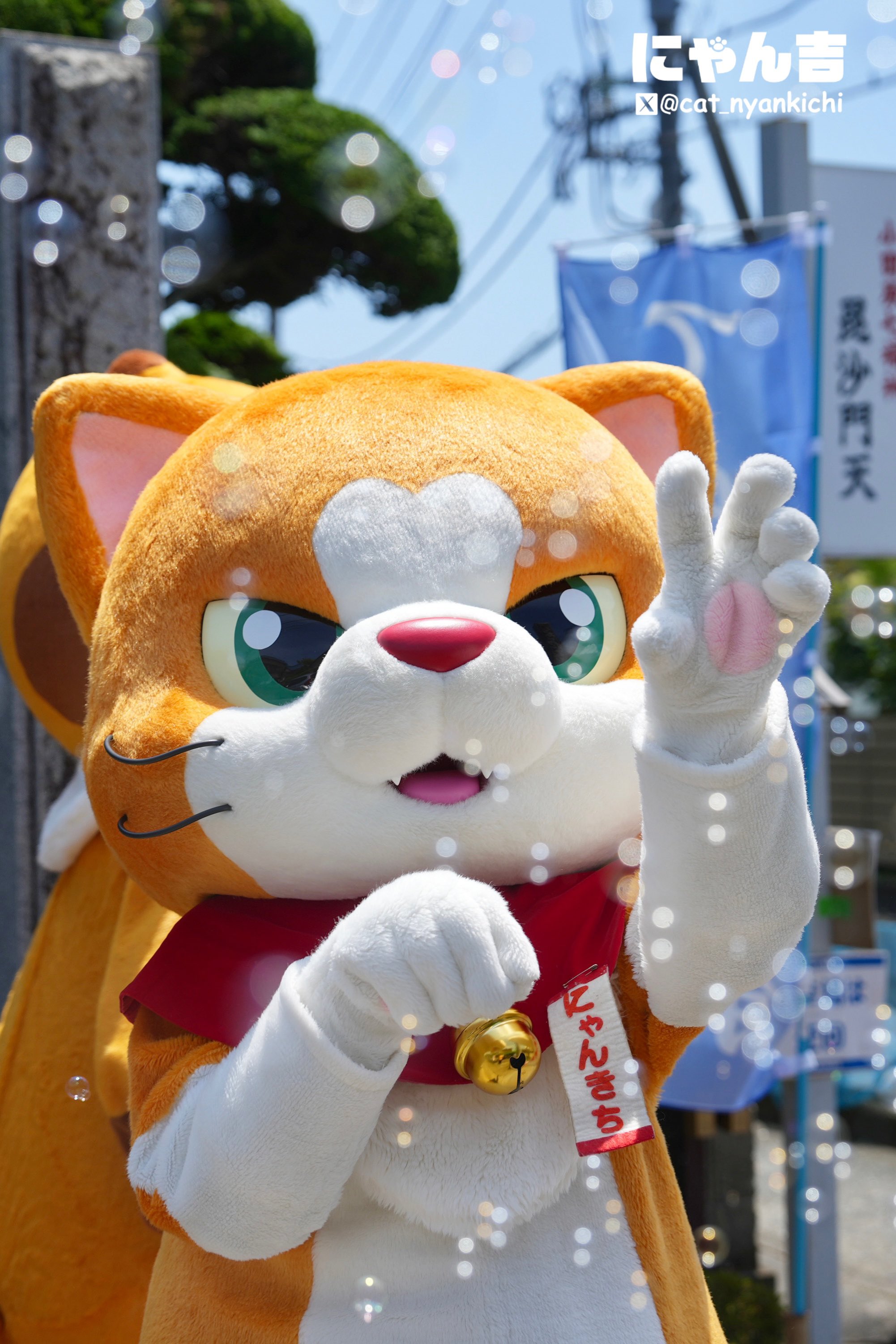 けーにゃんページ EDWIN × ねこぺん日和 ぬいぐるみ ぺんちゃん – LINE FRIENDS