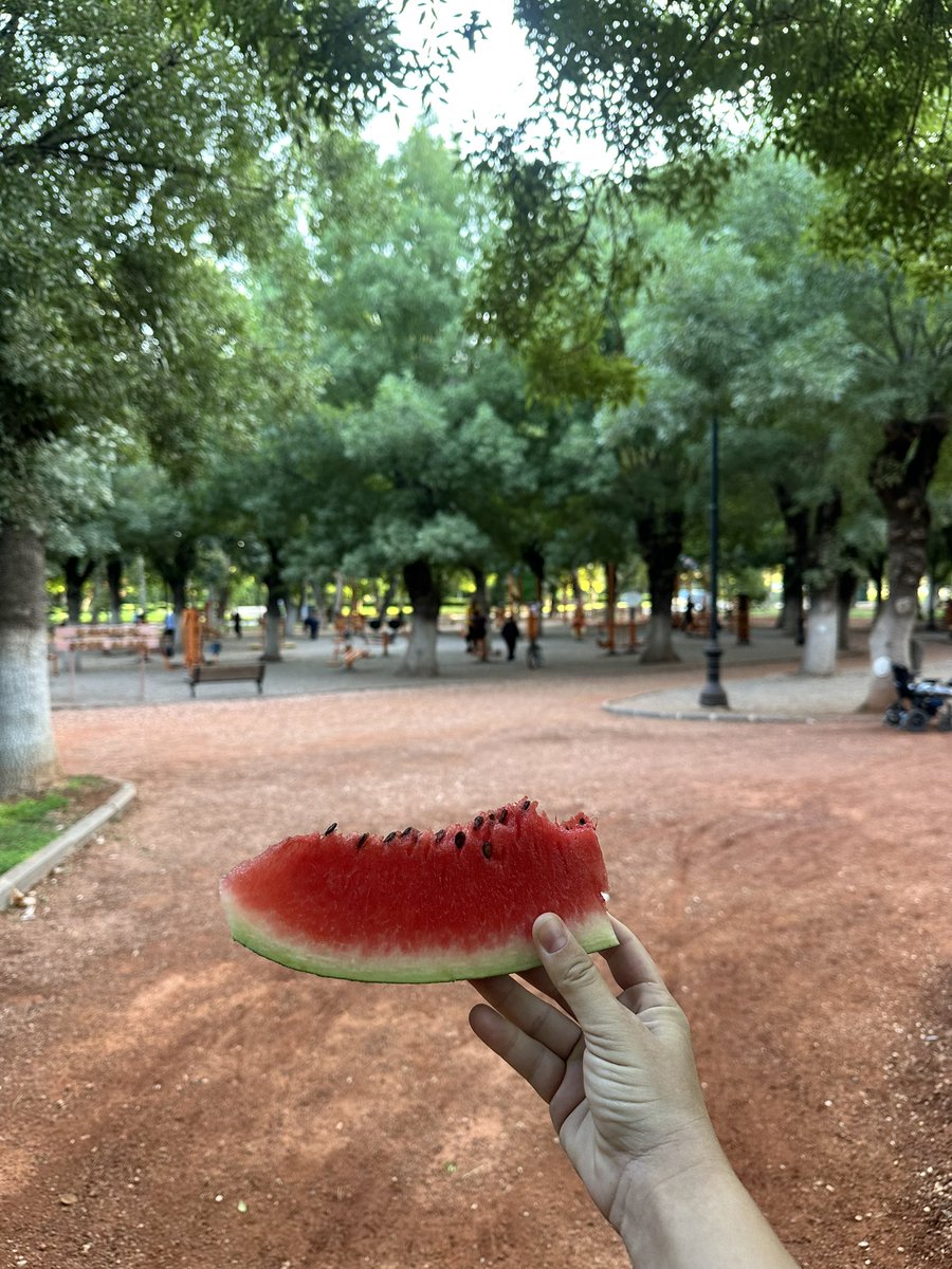 Matthiola19 tweet media