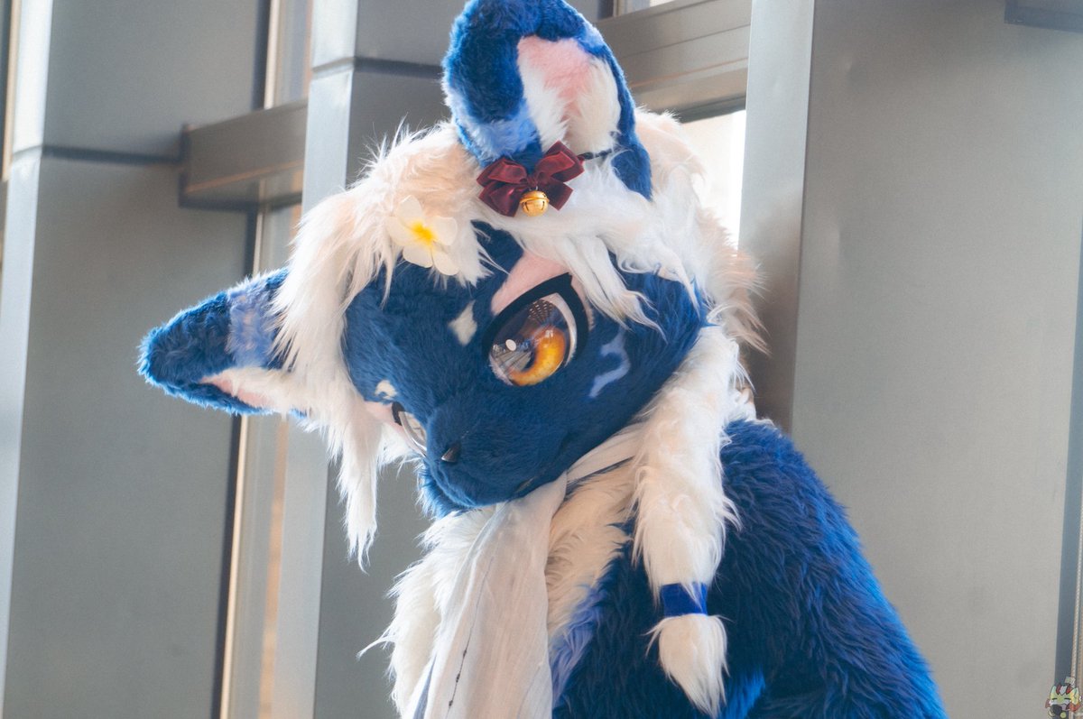 🐈⬛蓝胖子芝麻 • Sesame🐈⬛ (@zhima_sesame) on Twitter photo 假装乖巧.jpg
📷:<a href="/pio1840708/">pio</a>
#FursuitFryday #furry #毛毛星期五 假装乖巧.jpg
📷:<a href="/pio1840708/">pio</a>
#FursuitFryday #furry #毛毛星期五