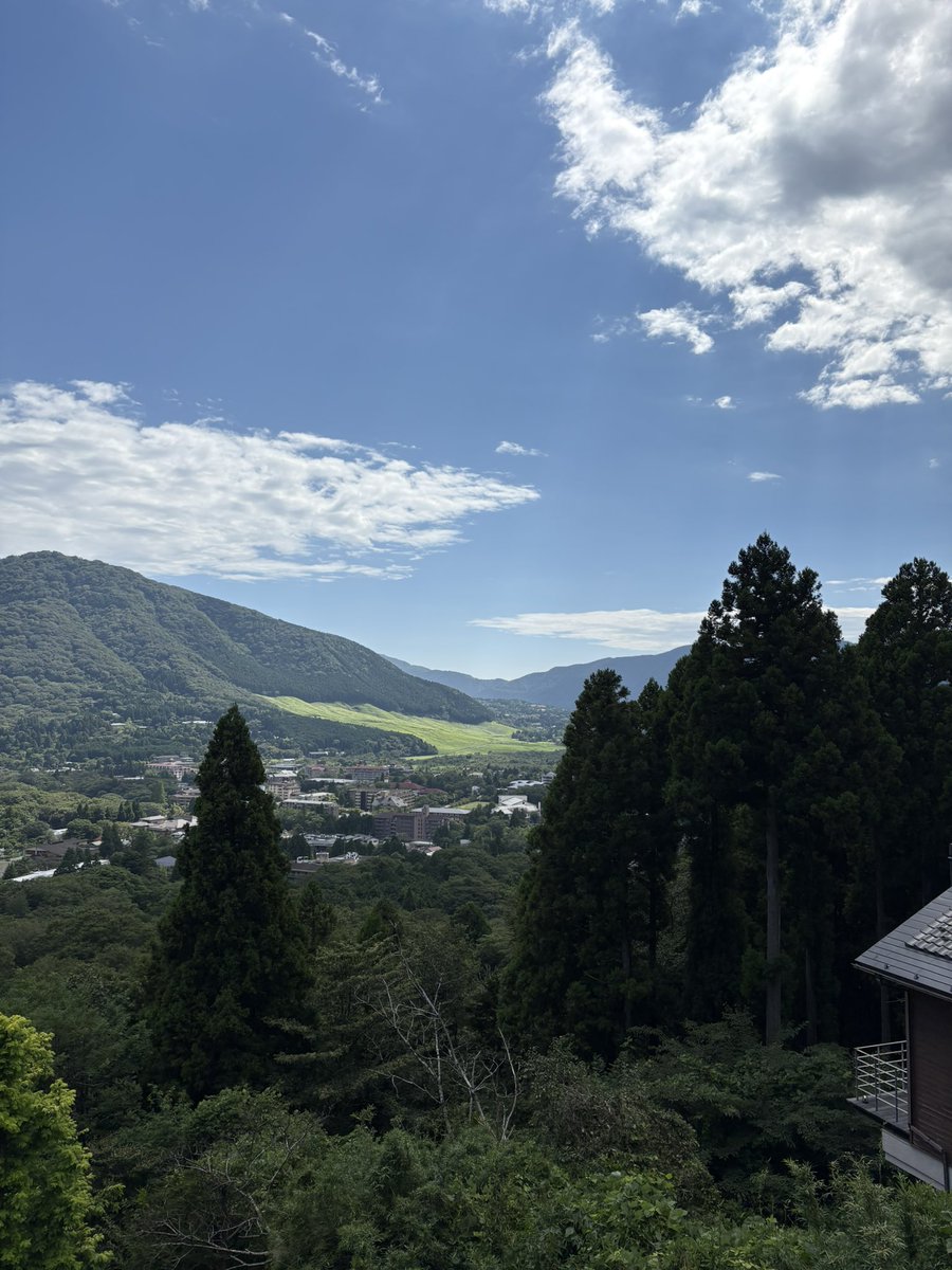 ttanko's tweet photo. 快晴
暑いかと思ったらそうでもない
日陰は涼しい
ミンミンゼミ鳴いてたな、と朝は思ってたけど、午後になるとひぐらしの声 https://t.co/6T790k8VTi