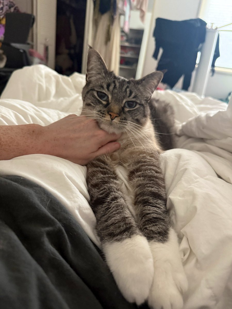 all I need 🌈 ♥️