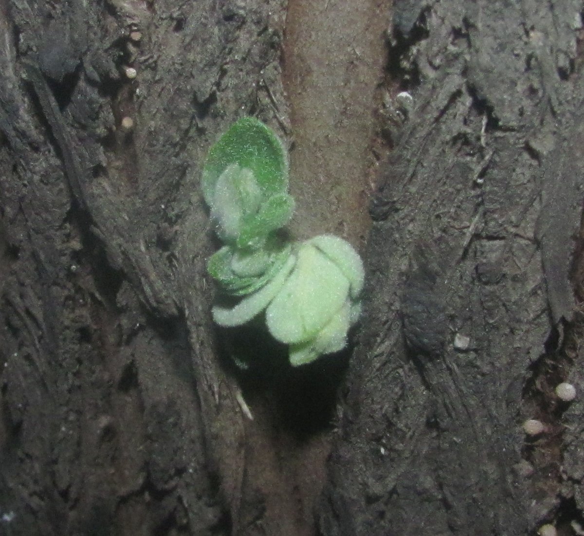 PoodatiyShanin's tweet image. I walk through #mindfields, such shock^^^
#Bipolar #psychiatry &amp;amp; #psychology 
to my news page #georgian 
#Zimbabwe #egyptian #Twitter 
#schizophrenia #Kramatorsk #ukrainian #Donetsk