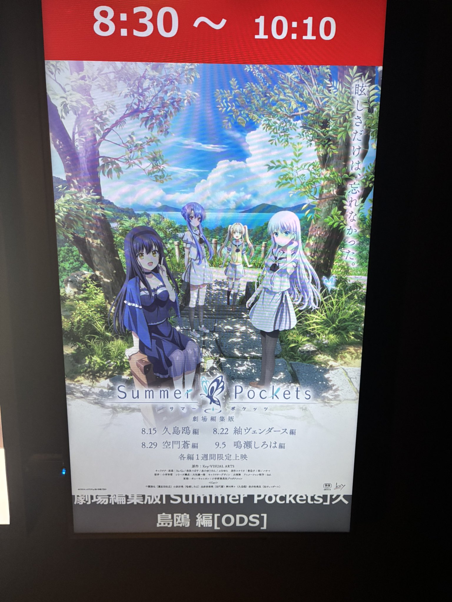劇場版 Summer Pockets 入場 特典 3種 サマポケ 紬 蒼 しろは サマーポケッツ 映画入場特典小説 紬 蒼 しろは 三点セット