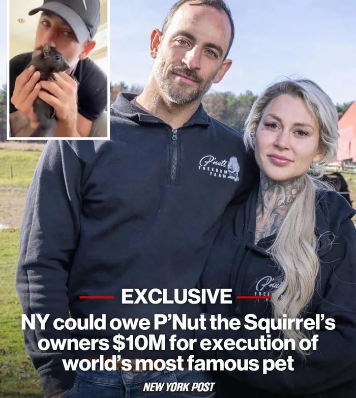 🐿️ Staat tötet Eichhörnchen – jetzt drohen 💰10 Millionen Dollar Entschädigung

📅 Am 30. Oktober 2024 stürmten Beamte des New York State Department of Environmental Conservation das Haus von Mark Longo und Daniela Bittner in Pine City (NY). Beschlagnahmt wurden das bekannte