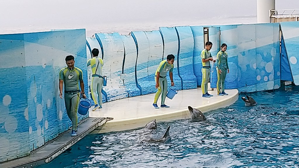 長～いお盆休みもそろそろ終わりか…😆
来週月曜日から仕事に行けるのか心配です😱
そうそうお盆休みの頭の方に旦那と江ノ島に行ってきました😁
雨は降るわ 風は強いわでね😅
イルカ🐬かわいかったなぁ💞