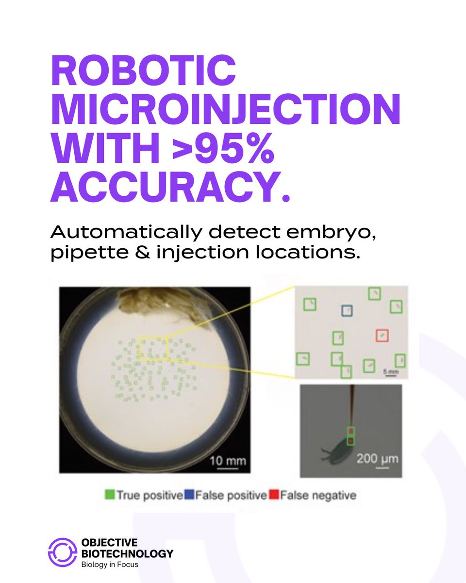 Objective_Bio's tweet image. 🚀 The Autoinjector uses precision robotics to detect targets &lt;200 microns and inject reagents—no human needed. A new era of automation in microinjection is here.
🔗 Learn more: objectivebiotechnology.com/autoinjector
#Automation #Biotech #Robotics #Innovation #microinjection